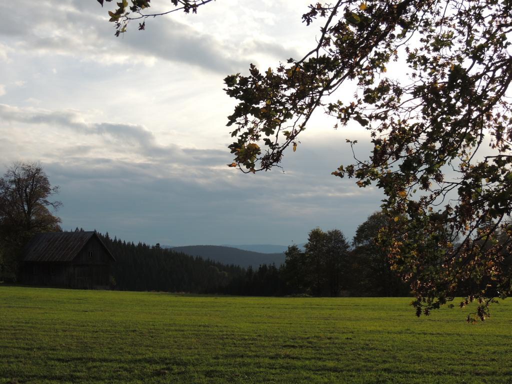 Pension Altvogtshof Eisenbach  Buitenkant foto