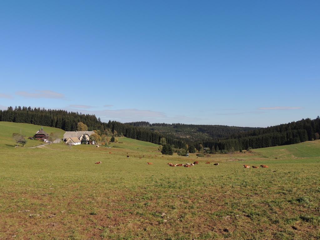 Pension Altvogtshof Eisenbach  Buitenkant foto