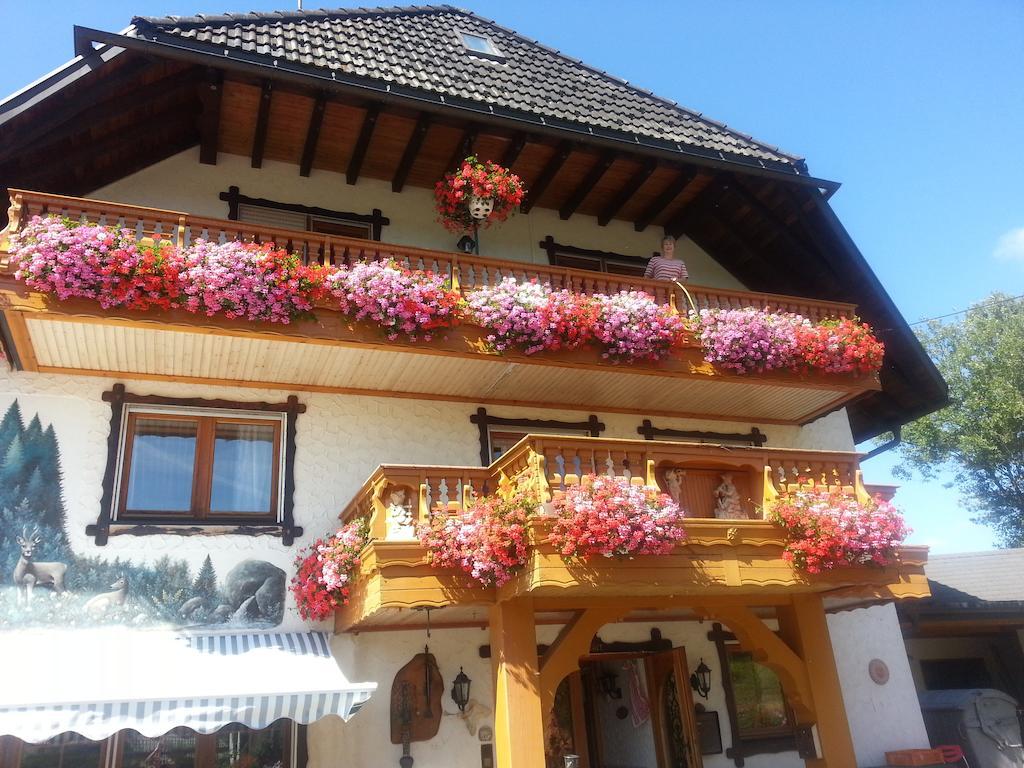 Pension Altvogtshof Eisenbach  Buitenkant foto