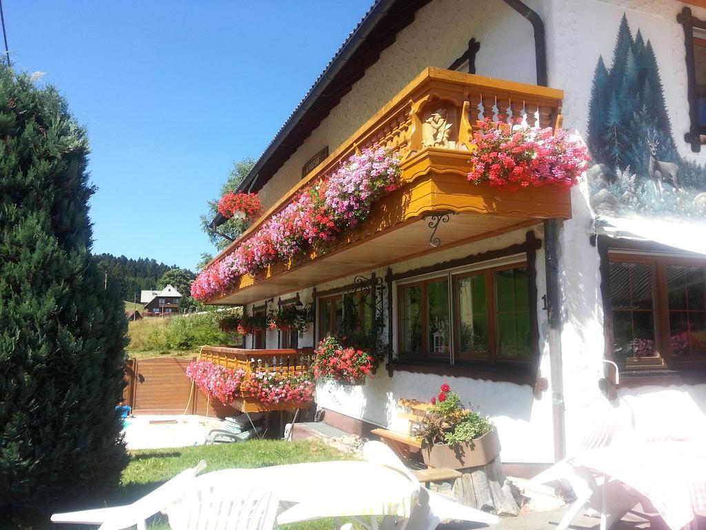 Pension Altvogtshof Eisenbach  Buitenkant foto