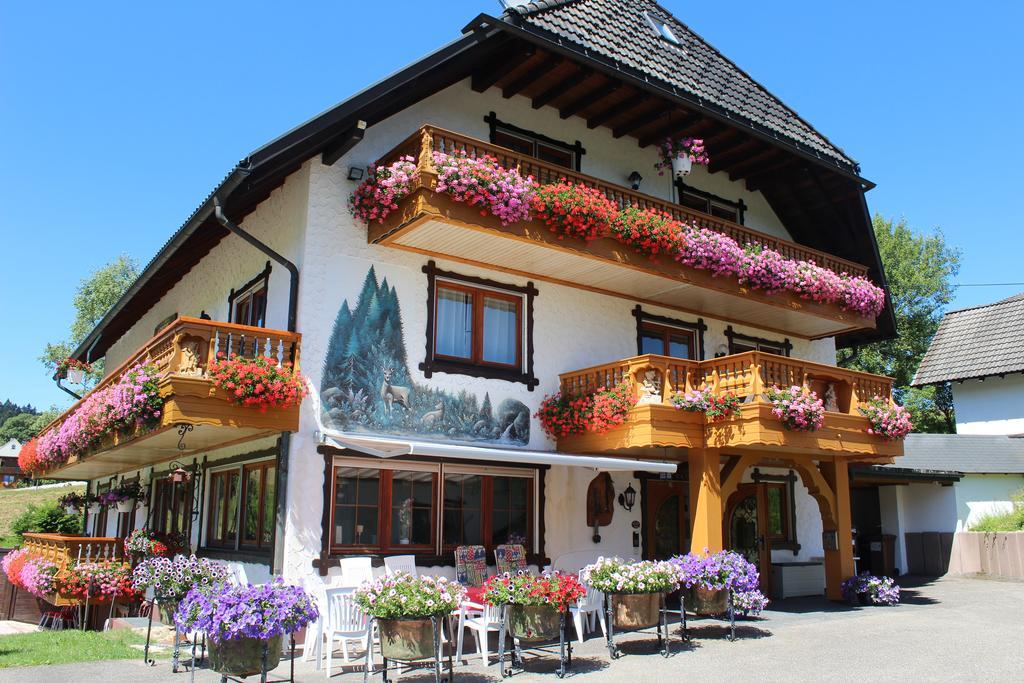 Pension Altvogtshof Eisenbach  Buitenkant foto
